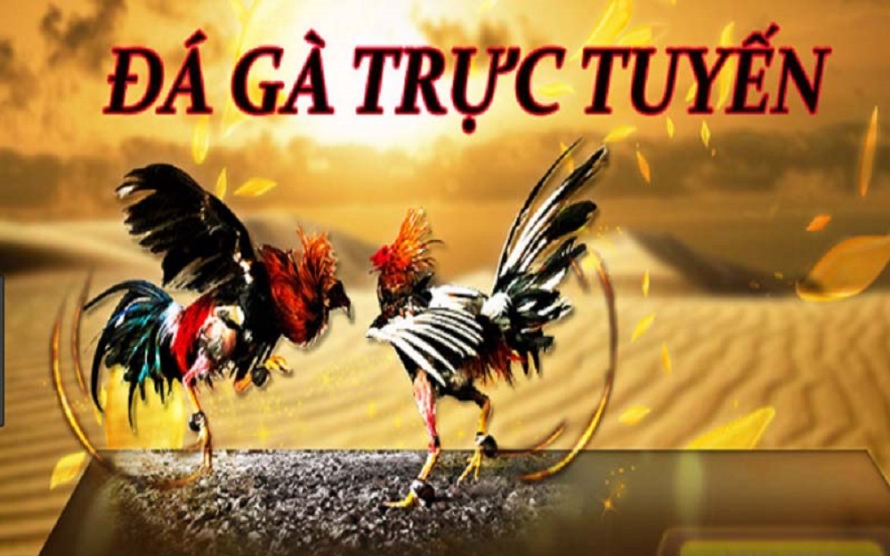 da-ga-truc-tuyen-2